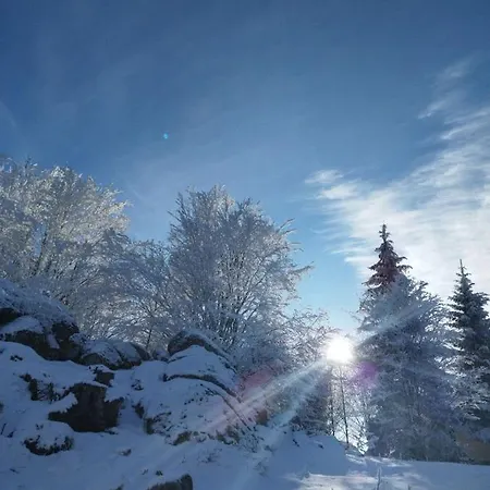 アパートホテル President Kop 106 コパオニク