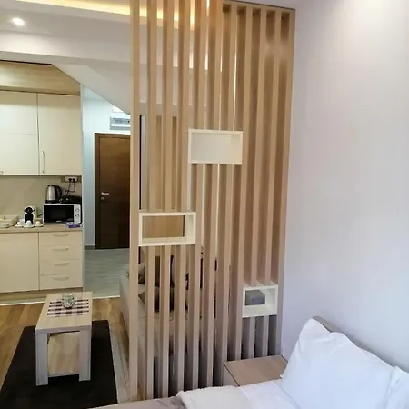 President Kop 106 アパートホテル コパオニク