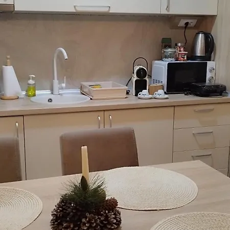 アパートホテル President Kop 106 コパオニク