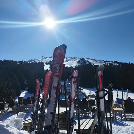 アパートホテル President Kop 106