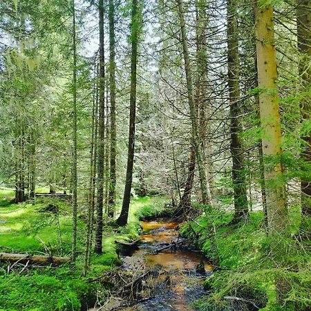 アパートホテル President Kop 106 3*