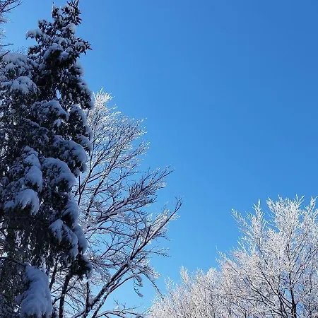 アパートホテル President Kop 106 3*