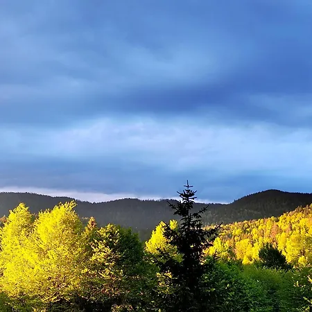 アパートホテル President Kop 106 3*