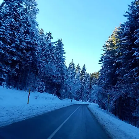 アパートホテル President Kop 106 コパオニク