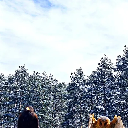 アパートホテル President Kop 106 コパオニク