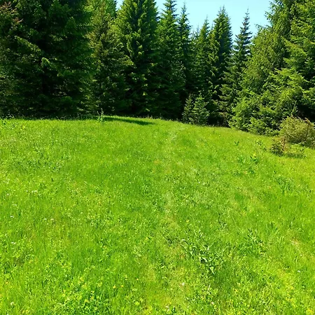 President Kop 106 アパートホテル