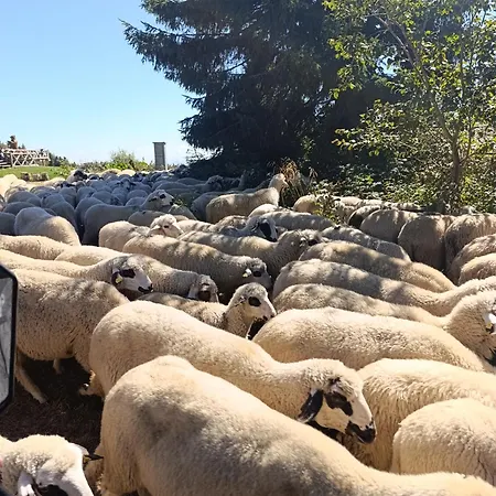 アパートホテル President Kop 106 3*