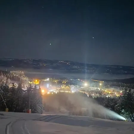 President Kop 106 アパートホテル コパオニク